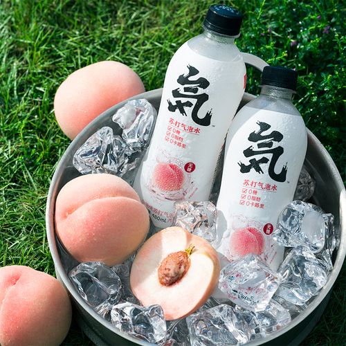 白桃入夏，气足无糖 元气森林气泡水如何重新定义一杯饮料